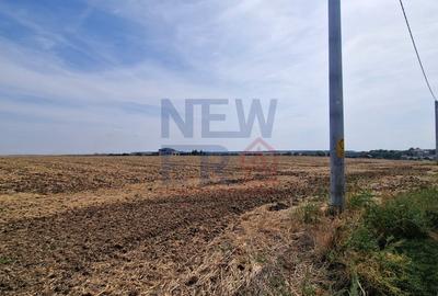 Teren de vanzare de 11.068 mp extravilan arabil in zona Belciugatele - zona lac - 2