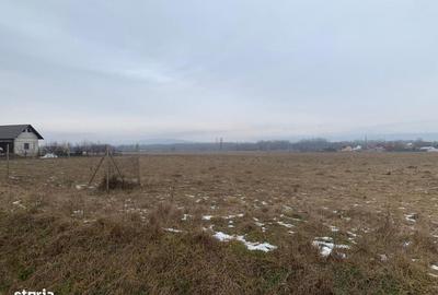 Teren de 2000 mp, în Todirești - 8