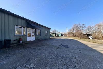 Zona str. Oborului - hala productie 500 mp + teren 29 ari - 4