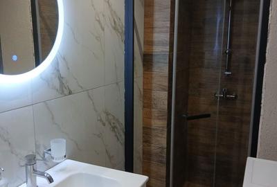 Apartament cu 2 camere în Ultracentral - 2