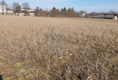 Teren Construcții intravilan de 3500 mp, în Zvoriștea - 2