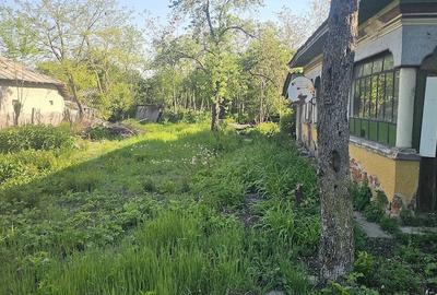 Teren de 3300 mp, în Brăniștari - 4