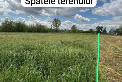 Spațiu comercial, în Băbiciu - 4