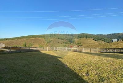 Teren de 3272 mp, în Beliș - 2