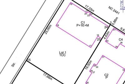 Casă cu 10 camere cu Teren 437 Mp în Central - 3