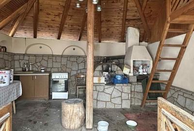 Casa + Livada in Borzesti - 15