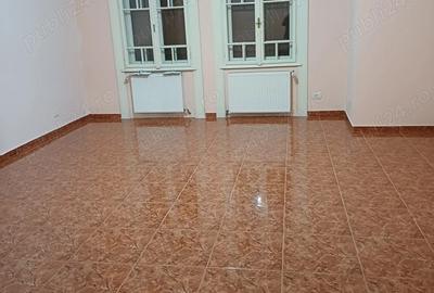 Vila de inchiriat D+P+E+M in zona Prefectura - 3