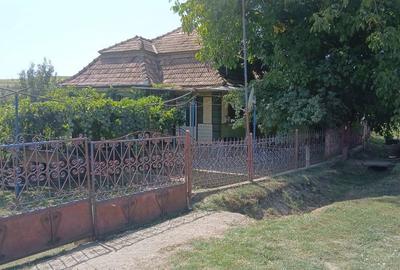 Casă cu 4 camere în Soporu de Câmpie - 3