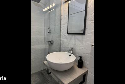 Garsonieră în Tunari - 3