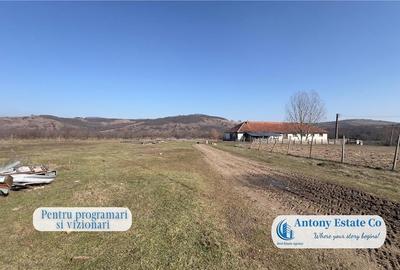 Oportunitate de investitie, Ferma Padurea Galbena  - Cehal, Marghita - 13
