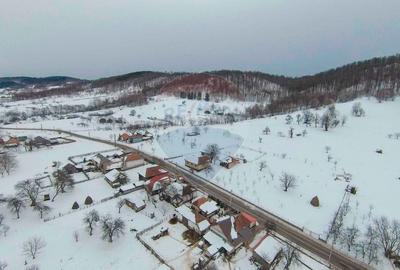 Casă cu 4 camere cu Teren 2000 Mp în Damiș - 22