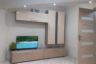 Apartament cu 2 camere decomandat în Craiovița Nouă - 8