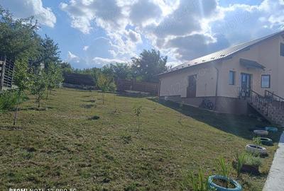 Casa plan parter, 800 mp teren, Tomesti - 1