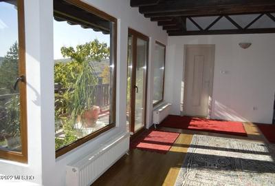 Topoloveni - Conacul Ion Mihalache, Domeniu pe 5 Hectare - 36
