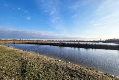 Casă individuală cu 40 camere cu Teren 347644 Mp în Istria - 12