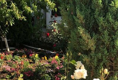 Vila - parter + mansarda - Sendreni, jud. Galati - 7