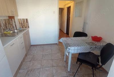 Garsonieră decomandată în Radu Negru - 6