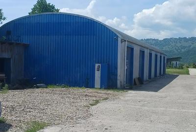Spațiu comercial, de 480 mp, în Dumbrava - 7