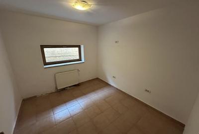 Proprietate cu piscina Dumbravita - 31