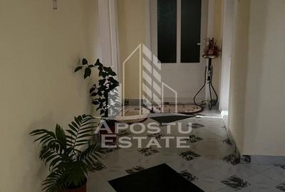 Casa individuala plus anexa, zona centrala in Faget - 18