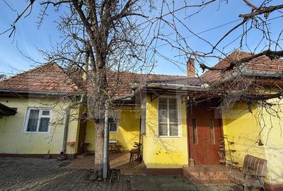 Casa traditionala de vanzare, 3 camere, 77 mp, cu teren de 852 m², zona Unirii - 3
