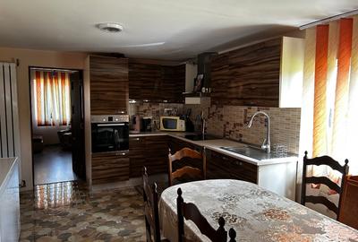 Casă cu 4 camere cu Teren 2900 Mp în Birchiș - 4