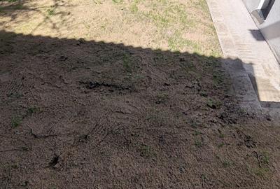 Casa individuala, semifinsata, zona Tautiului Casa individuala, semifinsata, zona Tautiului - 4