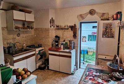 Casa de Vacan?a 24 locuri tip Hostel, Coste?ti, Hunedoara - 6