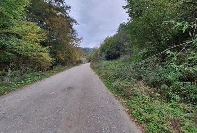 Teren în Bran - 1