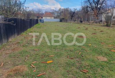 Comision 0 % Teren intravilan 2 cai de acces 3100 mp Savastreni - 1