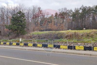 Oportunitate investi?ie B. Felix teren intravilan cu PUZ 1157 mp DN 76 - 3