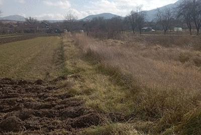 Teren de 2000 mp, în Brănișca - 3