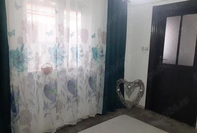 Vanzare Casa caramida, suprafata este de 200.mp., mobilata si utilata str. Grivitei - Pictor T Aman - 8