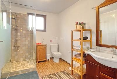 Complex de 3 case pe 18000 mp teren - 17