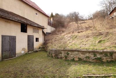 Casă cu 2 camere în Zizin