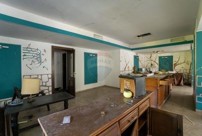 Hotel/Pensiune, de 961 mp, în Valea Râșnoavei - 10