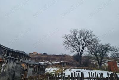Casă cu 4 camere cu Teren 3393 Mp în Aghireșu - 10