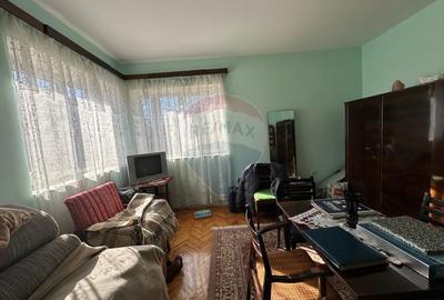 DE VANZARE- GOSPODARIE cu 95 arii teren - 8