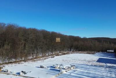 Teren în Dragomirna - 7