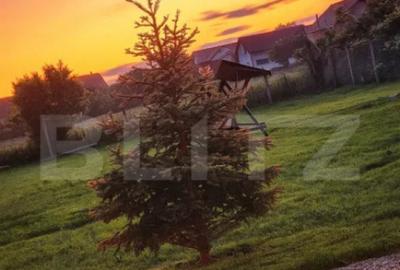 Casă cu 4 camere cu Teren 1570 Mp în Burdujeni - 2