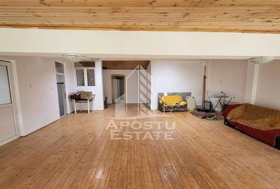 Casa ideala pentru birouri/alte activitati Mehala - 35