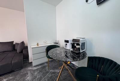 Garsonieră semidecomandată, mobilată în Nord - 8