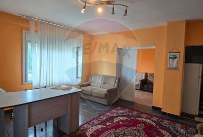 Casă cu 10 camere cu Teren 1000 Mp în Chisindia - 7