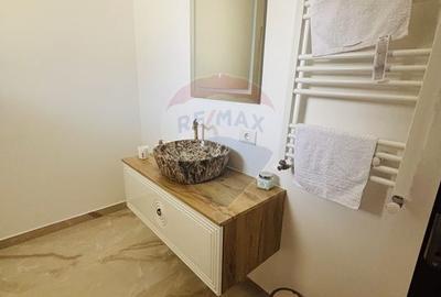 Vila individuala de vanzare SNAGOV - 16