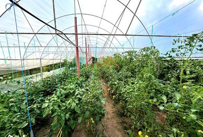 Casă cu 6 camere cu Teren 781 Mp în Valea - 1