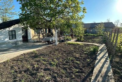 Casă cu Teren 1167 Mp în Băneasa - 10