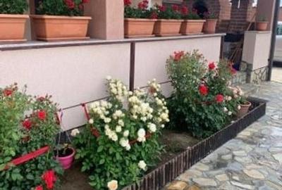 Casă cu piscină, modernă la curte – sat Fălăștoaca, comuna Comana - 8