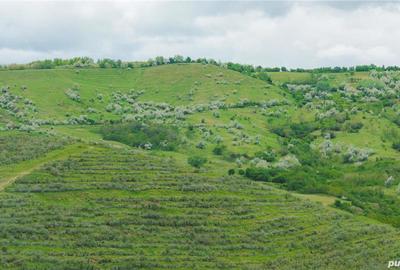 Teren de 20000 mp, în Vadu Săpat - 1