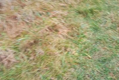Teren de 50 mp, în Central
