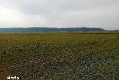Teren de 635 mp, în Hârsești - 6
